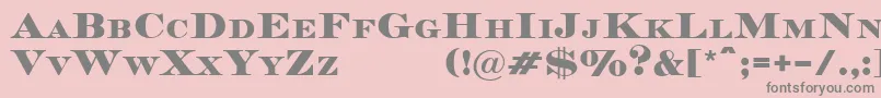 フォントMedocDemo – ピンクの背景に灰色の文字