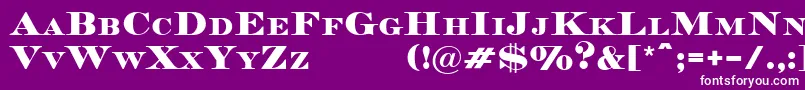 MedocDemo Font – White Fonts on Purple Background
