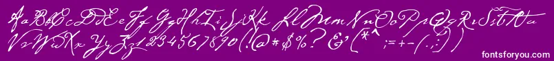 P22CezanneRegular Font – White Fonts on Purple Background