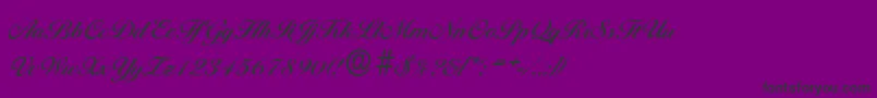 Police BallantinesserialBold – polices noires sur fond violet