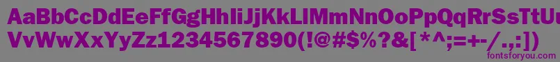 Шрифт Frankfurtgothicheavy – фиолетовые шрифты на сером фоне