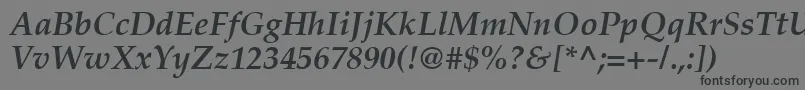 PalatinoРџРѕР»СѓР¶РёСЂРЅС‹Р№РљСѓСЂСЃРёРІ Font – Black Fonts on Gray Background