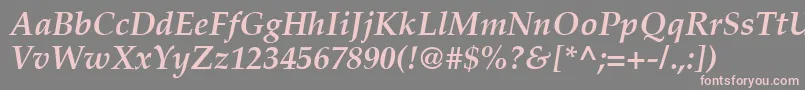 PalatinoРџРѕР»СѓР¶РёСЂРЅС‹Р№РљСѓСЂСЃРёРІ Font – Pink Fonts on Gray Background