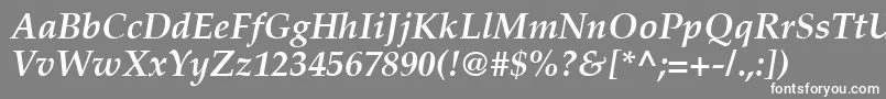 PalatinoРџРѕР»СѓР¶РёСЂРЅС‹Р№РљСѓСЂСЃРёРІ Font – White Fonts on Gray Background