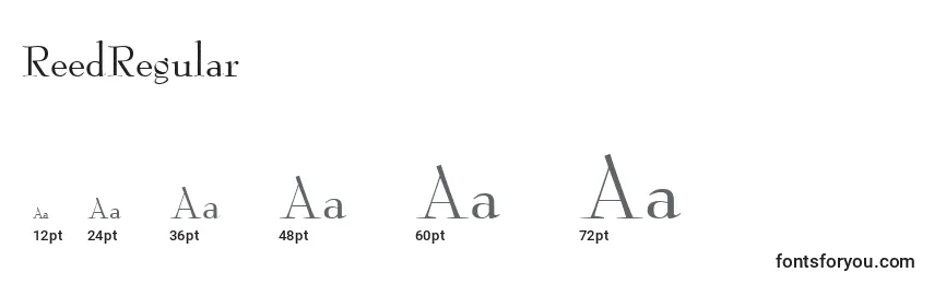 ReedRegular Font Sizes
