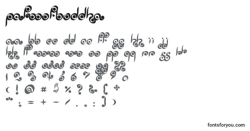 Czcionka Palmofbuddha – alfabet, cyfry, specjalne znaki