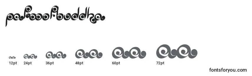 Размеры шрифта Palmofbuddha