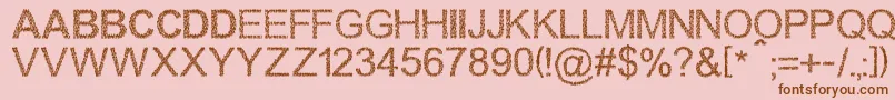 Walkingcrowd Font – Brown Fonts on Pink Background