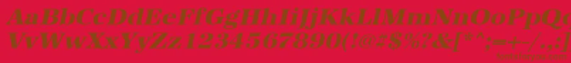 UrwantiquatextbolwidOblique Font – Brown Fonts on Red Background