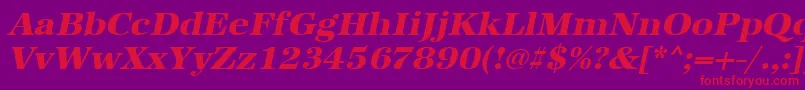 UrwantiquatextbolwidOblique Font – Red Fonts on Purple Background