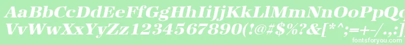 UrwantiquatextbolwidOblique Font – White Fonts on Green Background