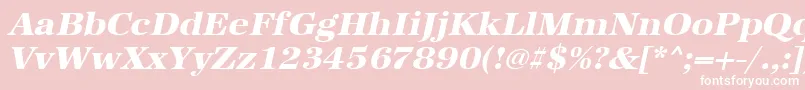 UrwantiquatextbolwidOblique Font – White Fonts on Pink Background