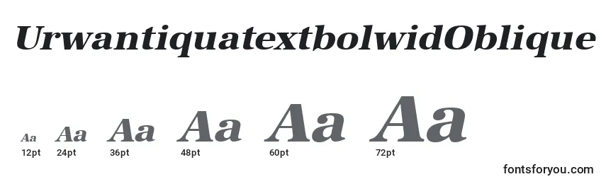 Размеры шрифта UrwantiquatextbolwidOblique