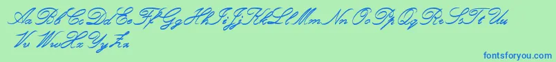 Шрифт RoughBrushScript – синие шрифты на зелёном фоне