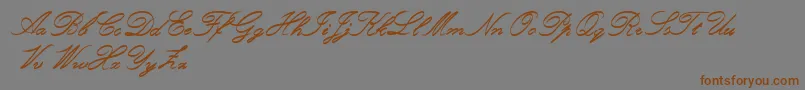 fuente RoughBrushScript – Fuentes Marrones Sobre Fondo Gris