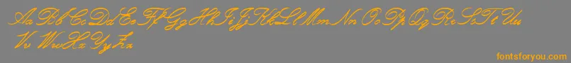 RoughBrushScript Font – Orange Fonts on Gray Background