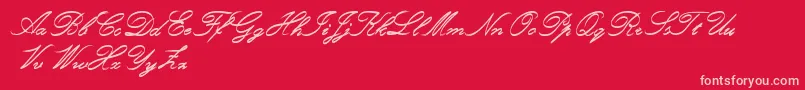 RoughBrushScript Font – Pink Fonts on Red Background