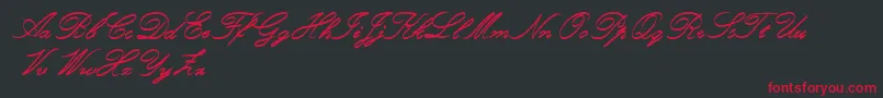 RoughBrushScript Font – Red Fonts on Black Background