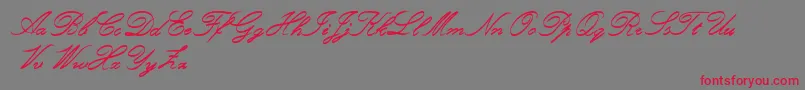 Police RoughBrushScript – polices rouges sur fond gris