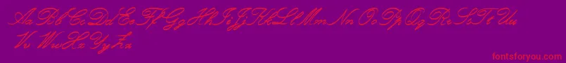 Czcionka RoughBrushScript – czerwone czcionki na fioletowym tle