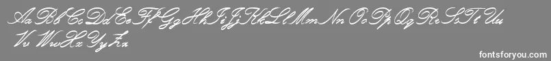 Czcionka RoughBrushScript – białe czcionki na szarym tle