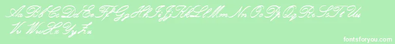 RoughBrushScript Font – White Fonts on Green Background