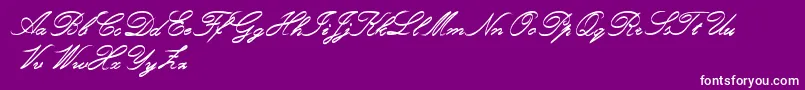 RoughBrushScript-Schriftart – Weiße Schriften auf violettem Hintergrund