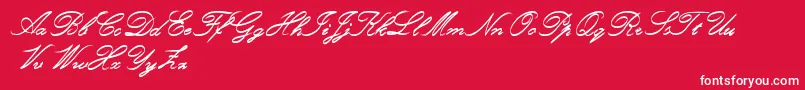 Шрифт RoughBrushScript – белые шрифты на красном фоне
