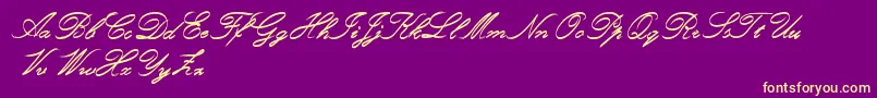 Czcionka RoughBrushScript – żółte czcionki na fioletowym tle