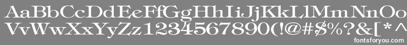 フォントTiffanyNormalWd – 灰色の背景に白い文字