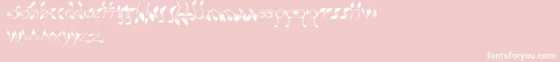 Dedaun-Schriftart – Weiße Schriften auf rosa Hintergrund