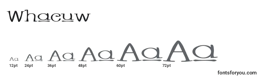 Размеры шрифта Whacuw