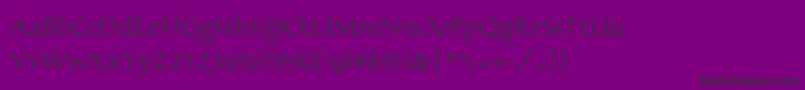 SanvitoproLt Font – Black Fonts on Purple Background