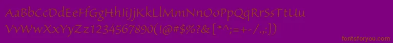 SanvitoproLt Font – Brown Fonts on Purple Background