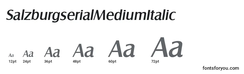 Размеры шрифта SalzburgserialMediumItalic