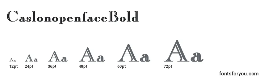 CaslonopenfaceBold Font Sizes