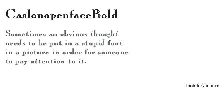 CaslonopenfaceBold Font