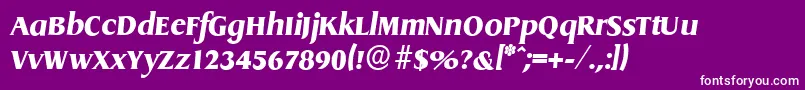 DragonserialHeavyItalic-Schriftart – Weiße Schriften auf violettem Hintergrund