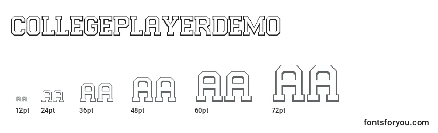 CollegePlayerDemo Font Sizes