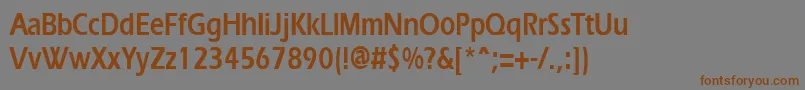 Шрифт ErgoecondensedBold – коричневые шрифты на сером фоне