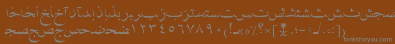 フォントAymNaskSUNormal. – 茶色の背景に灰色の文字