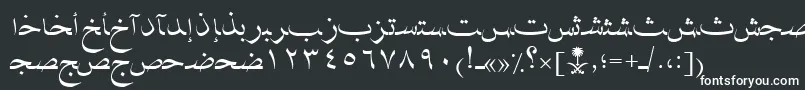 AymNaskSUNormal. Font – White Fonts on Black Background