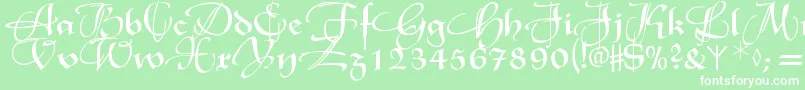 Xmasterpieceswashes Font – White Fonts on Green Background