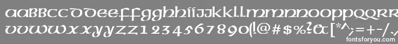 フォントMcleudctt – 灰色の背景に白い文字