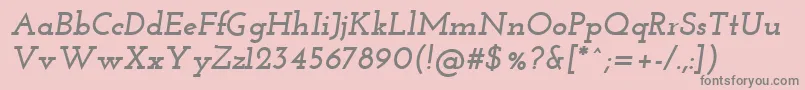 JosefinSlabBoldItalic Font – Gray Fonts on Pink Background
