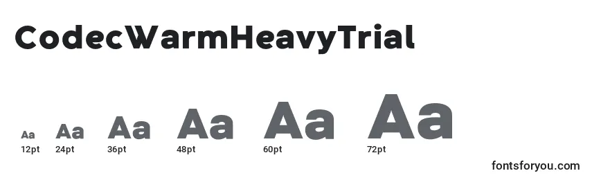CodecWarmHeavyTrial Font Sizes