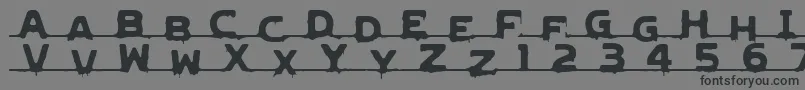 LvdcGncdRmx2 Font – Black Fonts on Gray Background