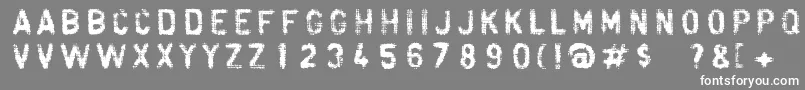 Fibra Font – White Fonts on Gray Background