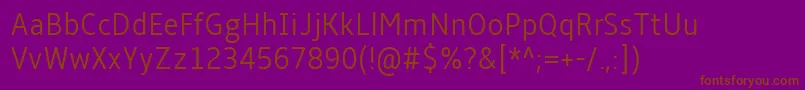 AmbleLightCondensed Font – Brown Fonts on Purple Background