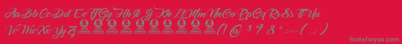 HirondellesDesAlpes Font – Gray Fonts on Red Background